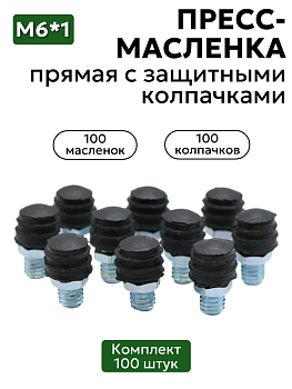 Комплект прямых пресс-масленок М6 с защитным колпачком 100 шт